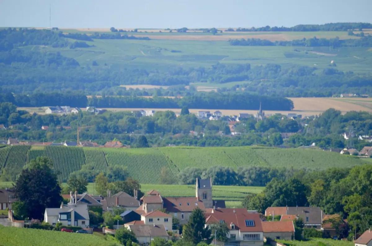Agreable Maison Petit Jardin A 7 Minutes De Reims Pargny-les-Reims Экстерьер фото